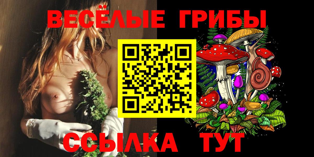 Энгельс  наркошоп  Вход с VPN  Галлюциногенные грибы MAGIC MUSHROOMS 